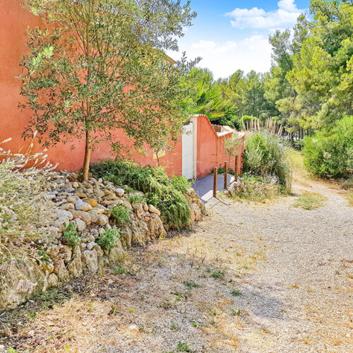 150---Entrée-ouverte-pleine-nature