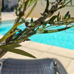 15---La-piscine