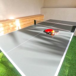 40---Ping-pong